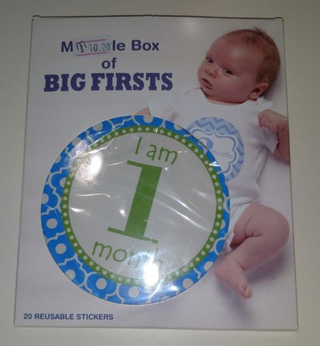 Gantz My Little Box of Big Firsts Milestone Stickers, Baby Boy or Girl, Pictures