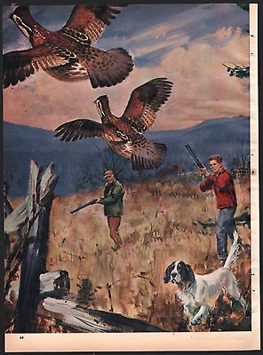 1958 ENGLISH SETTER Hunters Quail Magazine Illustration Unidentified Artist