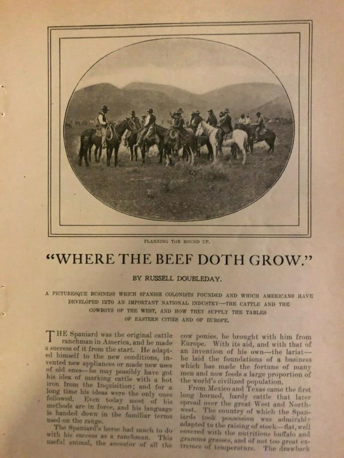 1900 Cattle Beef Cowboys Roundup Old West illustrated