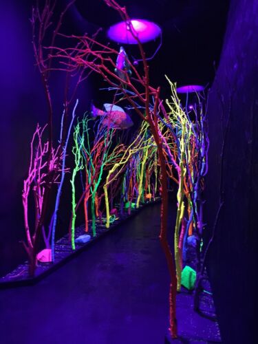 Four 3D Glasses Meow Wolf House of Eternal Return Interactive Sci-Fi Art Exhibit