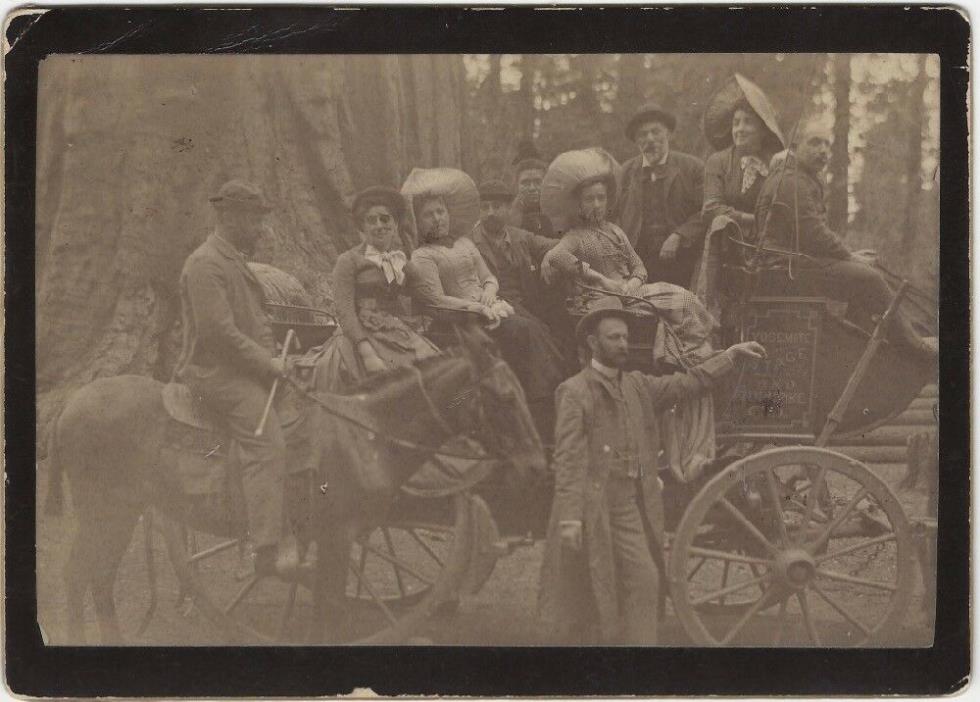 1890s Yosemite Stage and Turnpike Co. Wagon California Cabinet Photo
