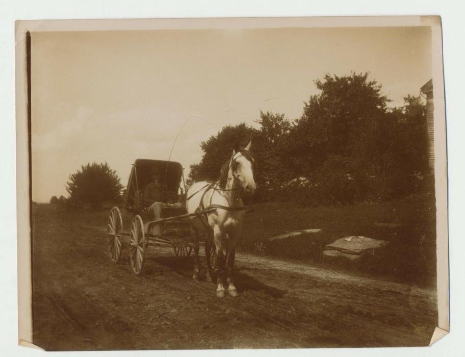c1910 Antique Photo of Man Driving One Horse Drawn Carriage 4 Wheel Wagon Cart
