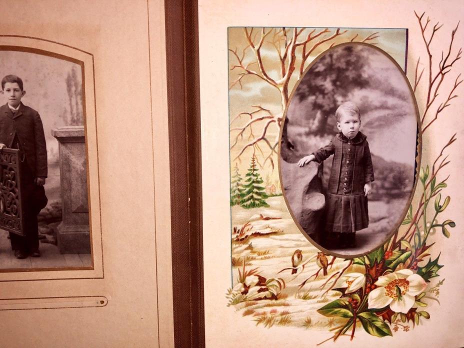 Antique Photo Album 41 Tintypes Cabinet Cards CDVs Colorful Nature Bird Page Art
