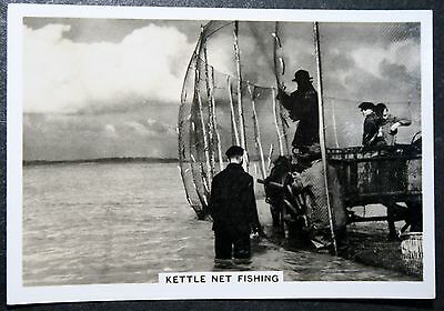 RYE BAY  Sussex   Vintage Kettle Net Mackel Fishing  Vintage Photo Card