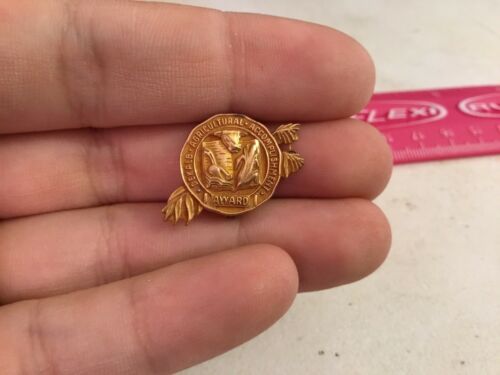 Vintage Delkalb Agricultural Accomplishment Award 1/10 10k Gold Pin Morgan's