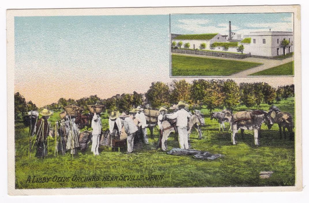 Postcard Libby Olive Orchard Seville Spain Libby Advertising A5