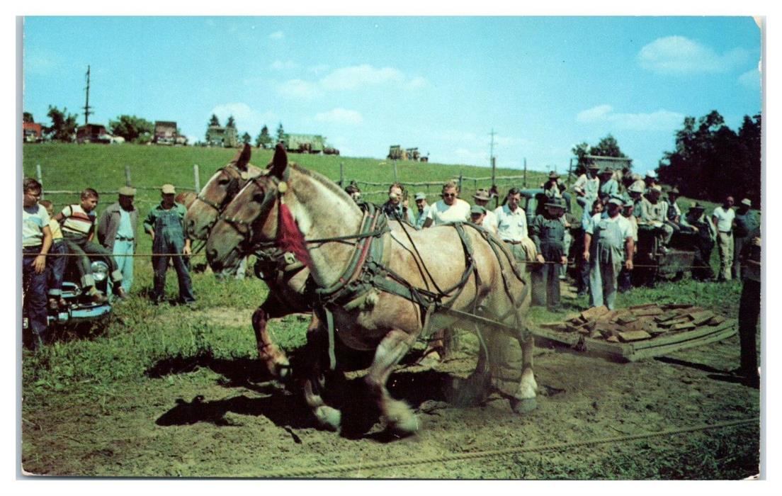 1952 Buck Lake Ranch, Angola, IN Postcard