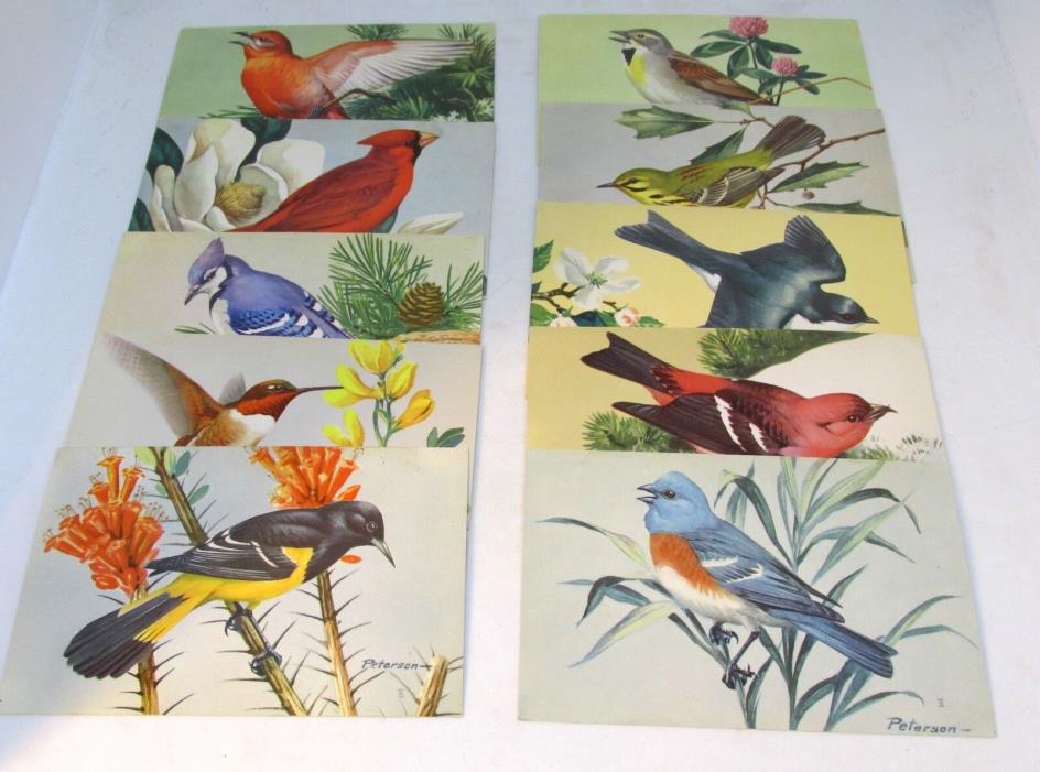 Ten National Wildlife Federation PETERSON BIRD Postcards