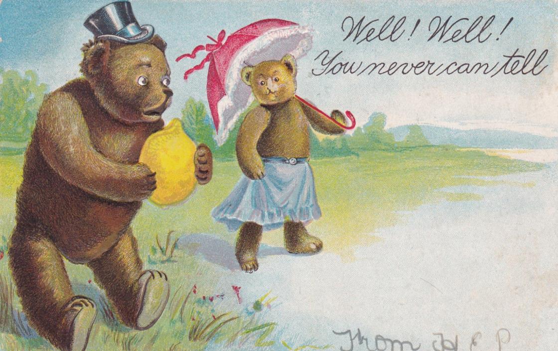 Teddy Bear Comic Postcard 1907 Embossed.