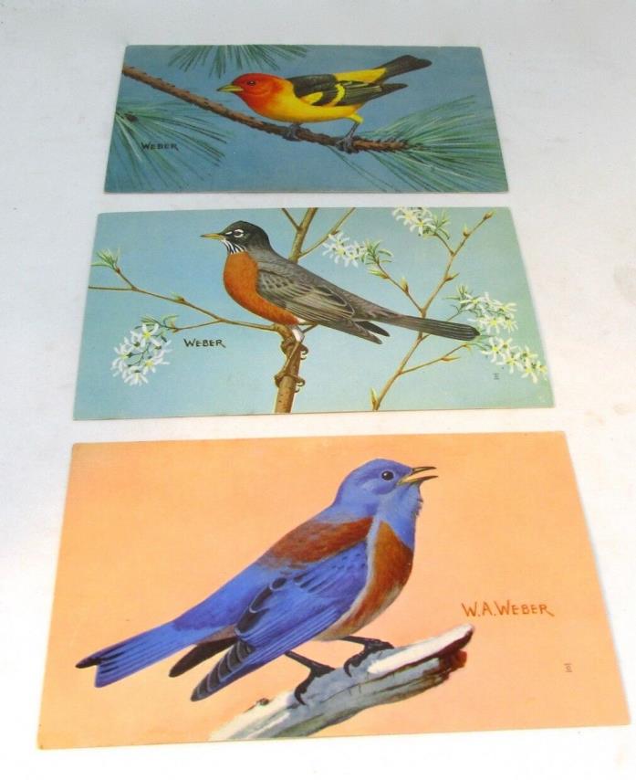Three National Wildlife Federation WEBER BIRD Postcards