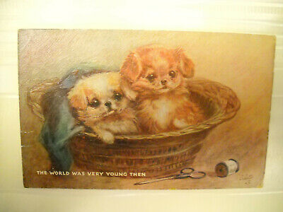 2 SMALL DOGS IN SEWING BASKET antique unused postcard CHROMOLITHOGRAPH TUCK'S