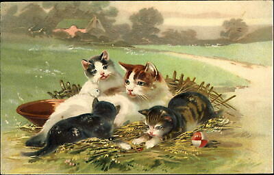 Tabby cats kittens playing ~ beautiful embossed PFB postcard c1910