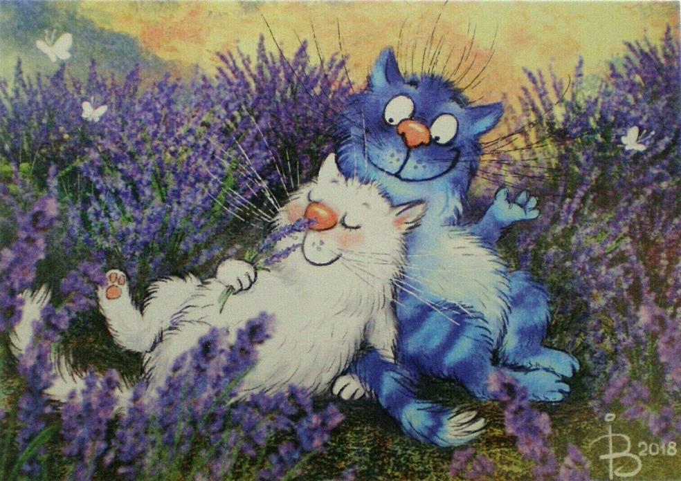 Postcard Art Blue Cats Love Lavender Flowers Irina Zeniuk Fun