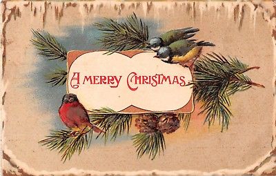 Pretty Birds on Pine Bough With Pine Cones-Old Chrsitmas Postcard - No. 408