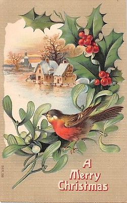 Pretty Robin Perched on Mistletoe & Holly by Homes in Winter-1909 Christmas PC