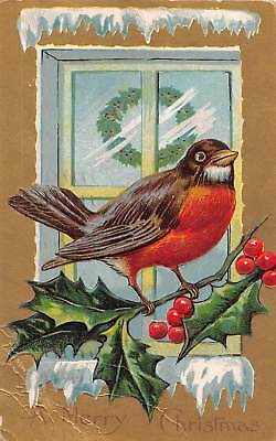 Robin Perched on Holly Outside Window With Holly Wreath-1908 Christmas Postcard