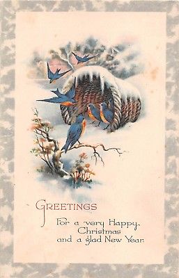 Bluebirds With Basket in Snow On Old Christmas Postcard-The Gibson Art Co.
