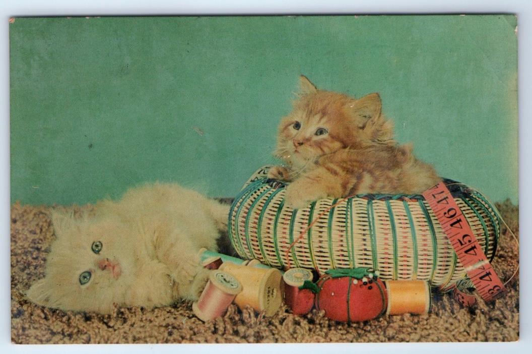Vintage Postcard Kittens In A Sewing Basket 1960s Cats
