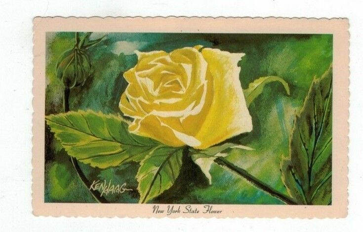NY New York vintage post card artist signed State Flower Rose Ken Haag