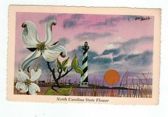 NC North Carolina vintage post card artist signed State Flower Dogwood Ken Haag