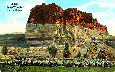 MT Montana: 