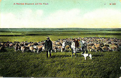 MT Montana: 
