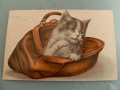 Pocket Full Of Kitty Cat in a Purse Bag Embossed Greeting c1909 Postcard