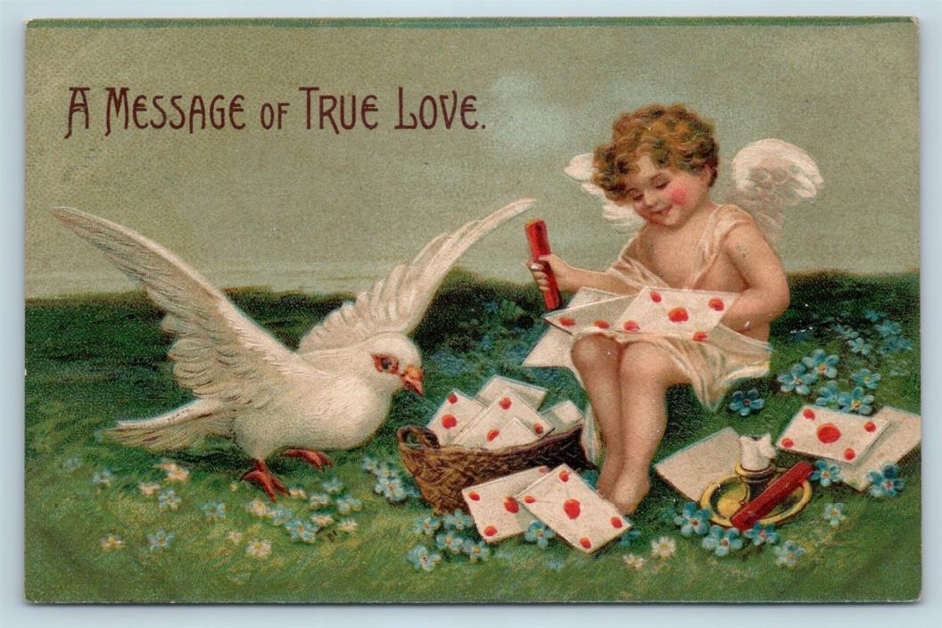 Postcard Valentines Day Message of True Love Cupid Letters Large White Dove P12