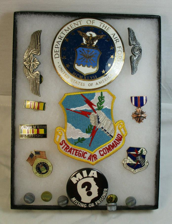 United States Air Force Pins and Badge #2011