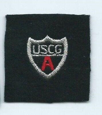 USCG United States Coast Guard Auxiliary appointed staff officer patch 2X2 #1747