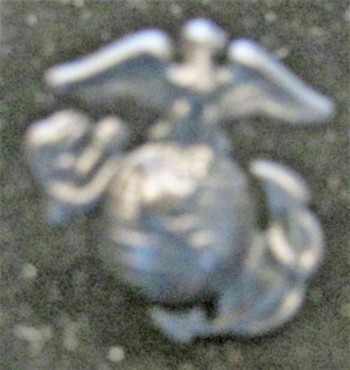 Marine Corp Pin