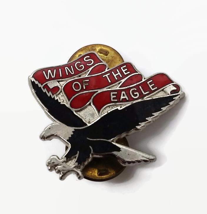 US Army 101st Aviation Battalion Wings Of The Eagle Enamel Pin