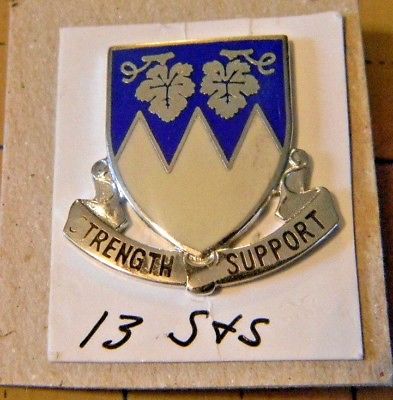 Army 13th S&S Bn Crest insignia pin 