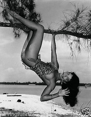 Bettie Page Hanging by a tree in Leopard Suit 5 x 7  Photograph