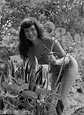Bettie Page Wearing Leopard Body Suit in the Garden 5 x 7  Photograph