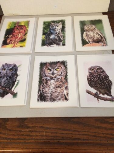 Owl Notepaper 6 Designs With Envelopes