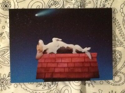 Cosmic Bliss birthday card beagle doghouse photo starry sky new unused Snoopy