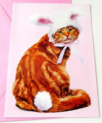 Unused Easter Card Avanti Cat in Easter Costume I'm Just in it for the Chocolate