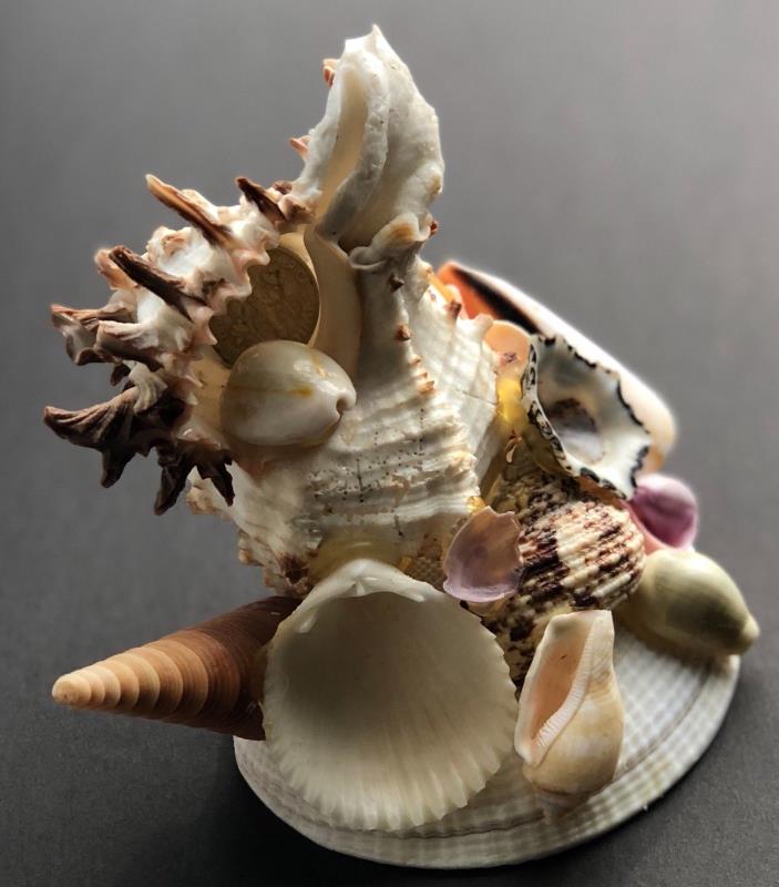 Vintage Seashell Souvenir Stacked Seashells Mississippi Gulf Coast Hand Made