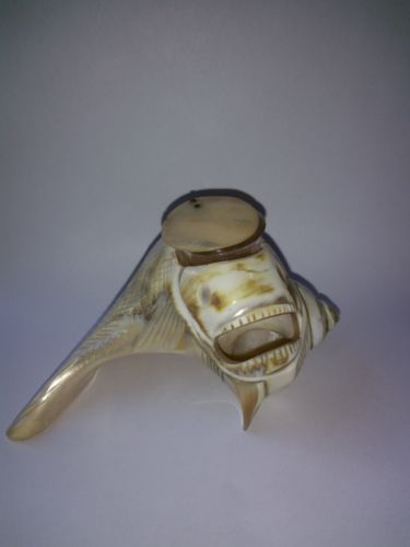 Vintage Carved Shell Fish Ink Well Glass Insert Abalone