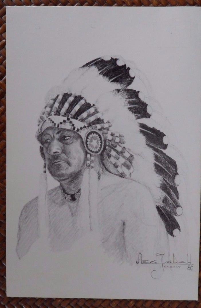 Cree Indian Chief in Canada - Alex Jadah - Postcard