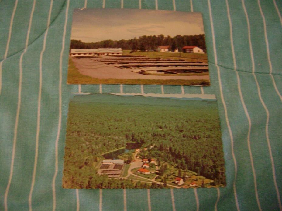 2 Postcards DORIAN FISH HATCHERY Trout near THUNDER BAY Lakehead ONTARIO ON