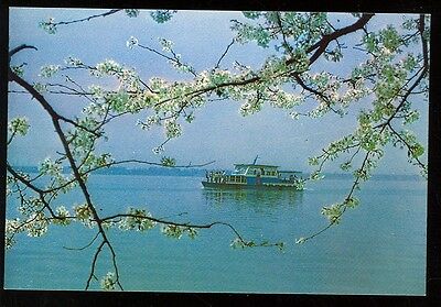 China, The West Lake in Spring (unused 4x6 post card(JA1044