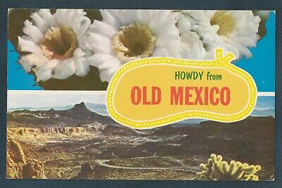 HOWDY FROM OLD MEXICO NOGALES VINTAGE PETLEY POSTCARD