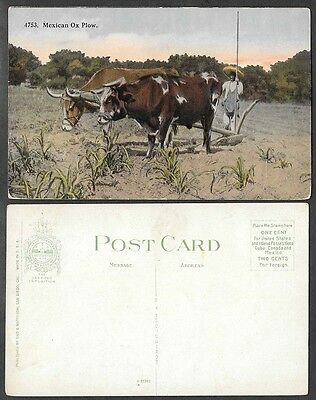 Old Mexico Postcard - Ox Plow - Farm, Farming