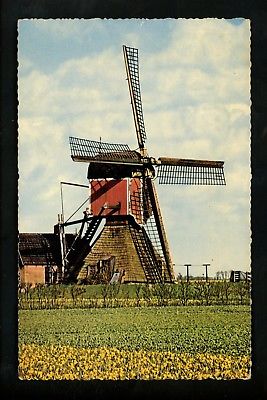 Windmills postcard Denmark field flowers chrome