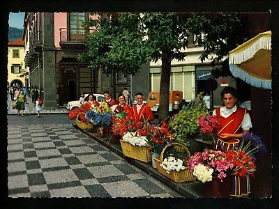 Flowers Postcard Flower Sellers Florists Portugal Madeira Funchal Chrome 1163/7