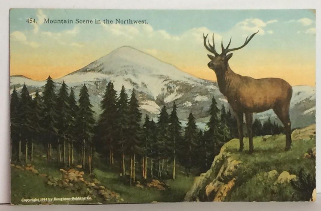 PostCard Mountain Scene in the Northwest Elk USA Made Posted 8-12-1920´s Vintage