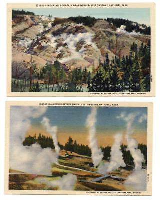 2970:* Yellowstone Park NORRIS GEYSER BASIN, ROARING MOUNTAIN c1936 Postcards 2