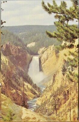 Yellowstone National Park LOWER FALLS GRAND CANYON Artists Point Hamilton Stores